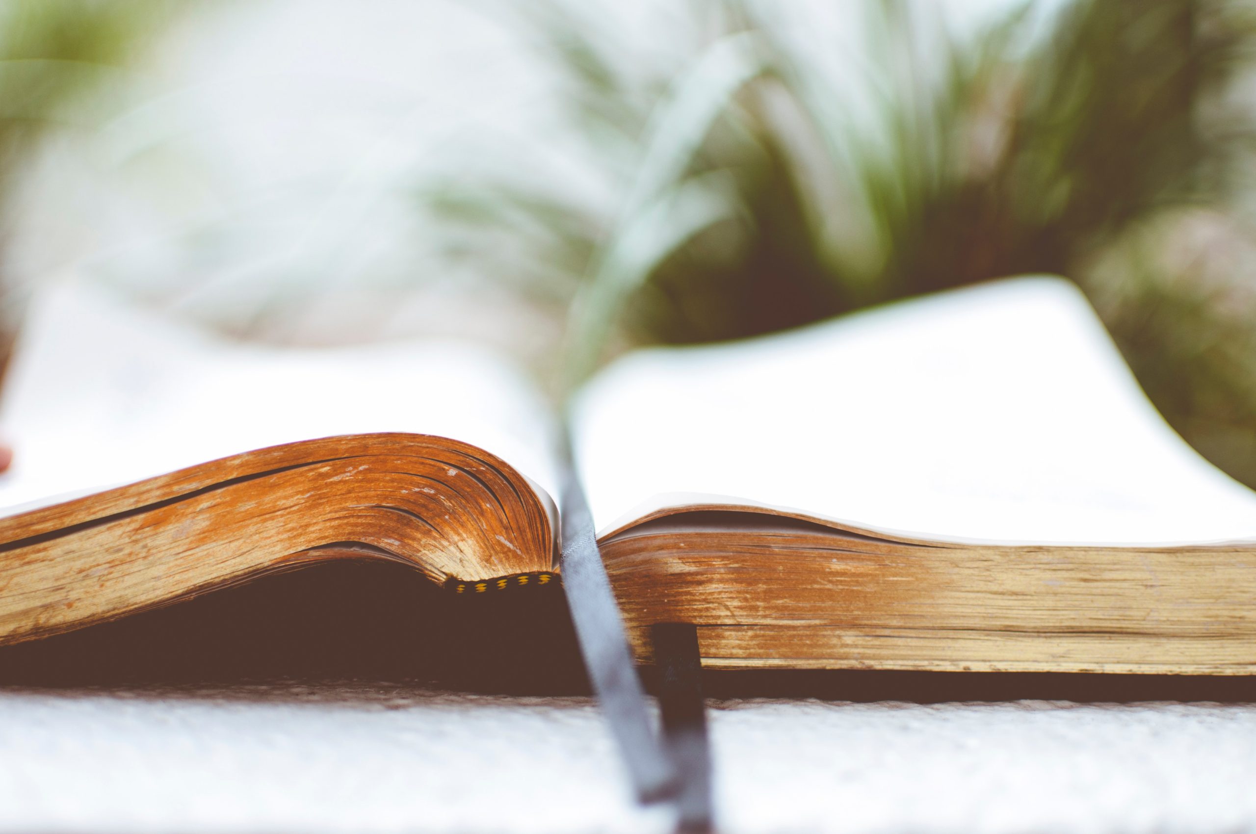 Eight Quick Takes on Doctrinal Statements